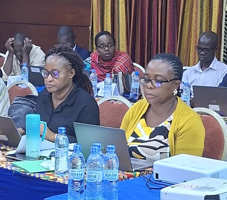 eH4CTB Workshop TDAs CI July 2025 3